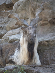 Similar image 21435268