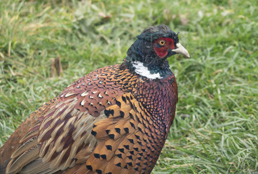 Similar image 21435280