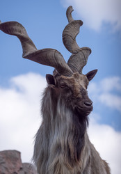 Similar image 21435701