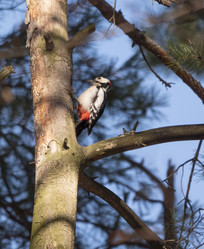 Similar image 21435702