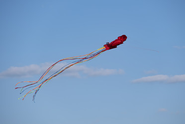 Similar image 21442185