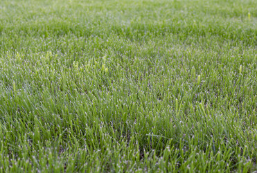 Similar image 21442196