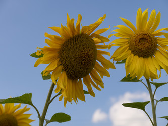 Similar image 21434125