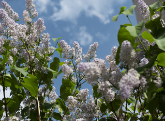 Similar image 21435282