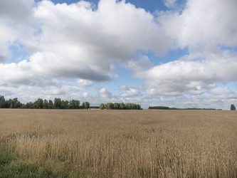 Similar image 21435284