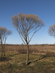 Similar image 21435297