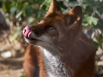 Similar image 21435299