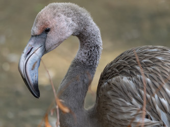 Similar image 21435306