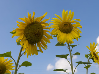 Similar image 21434137