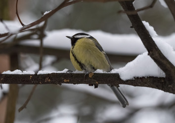 Similar image 21434648