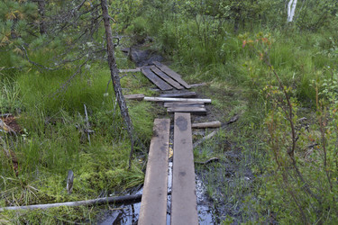 Similar image 21435309