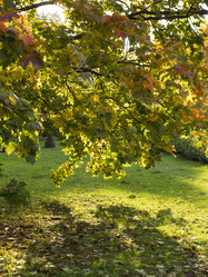 Similar image 21435311