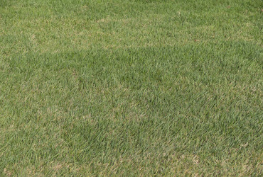 Similar image 21435318