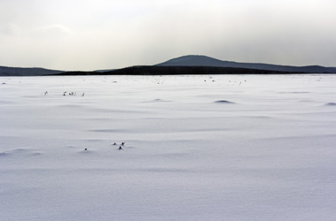 Similar image 21434158