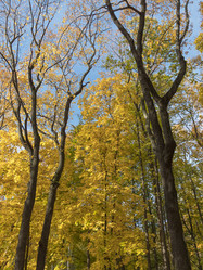 Similar image 21435730