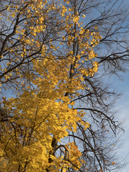 Similar image 21435731