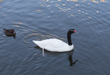 Similar image 21435736