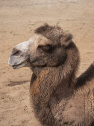 Similar image 21434165