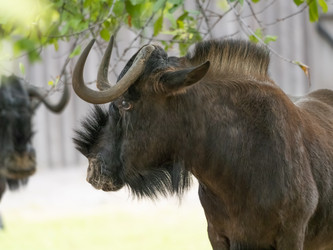 Similar image 21434166