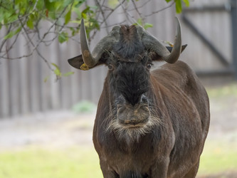 Similar image 21434167