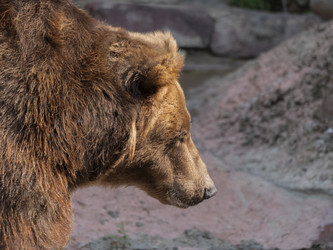 Similar image 21434173