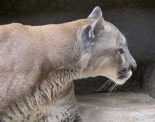 Similar image 21434174