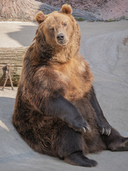 Similar image 21434175