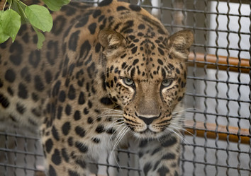 Similar image 21434176