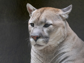 Similar image 21434177