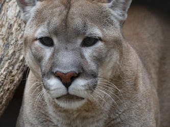 Similar image 21434179