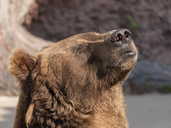 Similar image 21434181