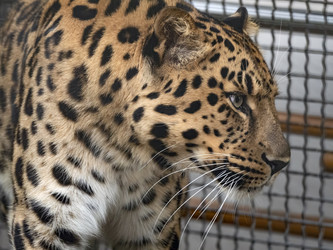 Similar image 21434182