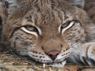 Similar image 21434184