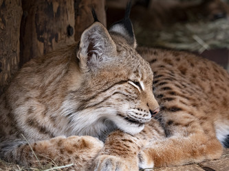 Similar image 21434186