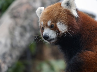 Similar image 21434187