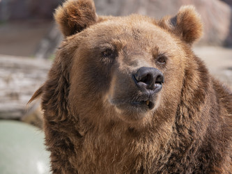 Similar image 21434652