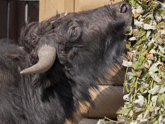 Similar image 21435336