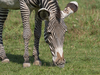 Similar image 21435339