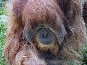 Similar image 21435343