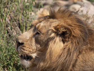 Similar image 21435344