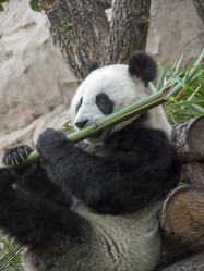 Similar image 21435345