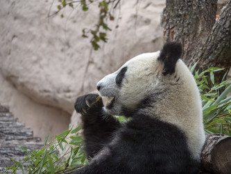 Similar image 21435357