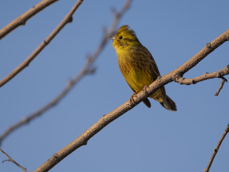 Similar image 21442280