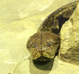 Similar image 21435363