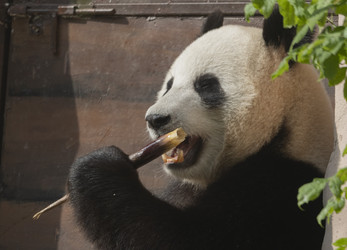 Similar image 21435763