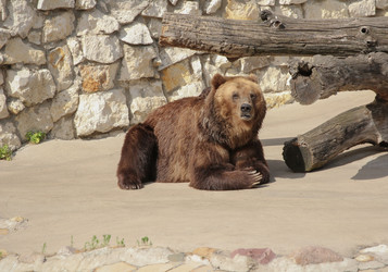 Similar image 21435768