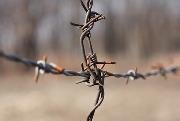 Similar image 21435769