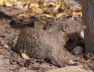 Similar image 21435772