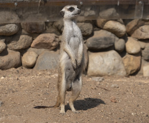 Similar image 21435773