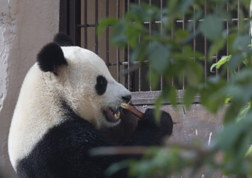 Similar image 21435774